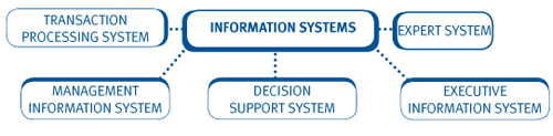 in an organization a transaction processing system